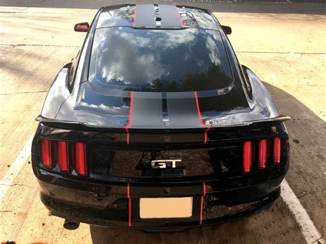 Ford Mustang Shelby Racing Pin Stripes Decal Vinyl Sticker Viper