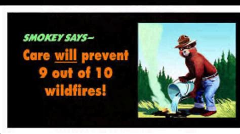 Smokey The Bear And Smokey Bear Mandela Effect Youtube