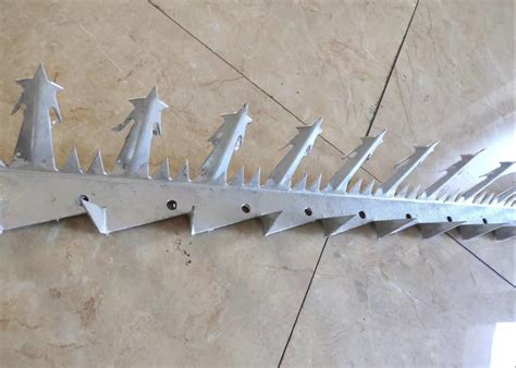 M Length Large Sized Sgs Hot Dipped Galvanized Anti Climb Wall Spike