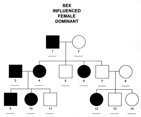 Sex Influenced Female Dominant Inheritance Michigan Genetics Resource