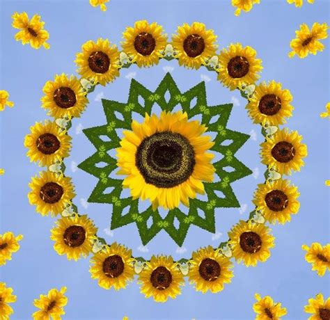 The Sunflowers Are Arranged In A Circular Pattern