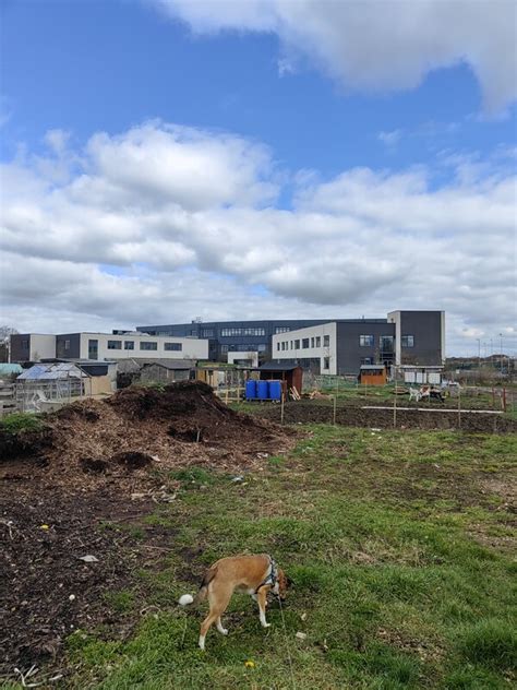 Bedford Academy PAUL FARMER Cc By Sa 2 0 Geograph Britain And Ireland