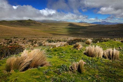 Antisana Volcano In Ecuador South America Volcano With Ice And Snow