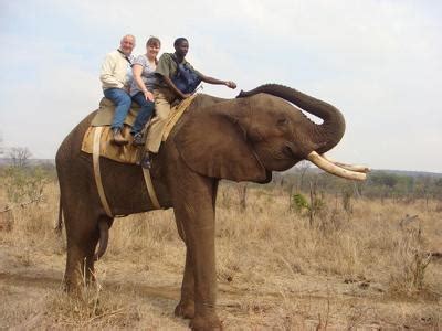 Riding Tusk the African Elephant