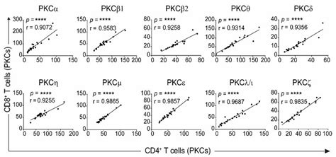 Correlation Of Levels Of Pkc Isozyme Expression Between Cd4 And Cd8