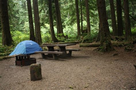 Mora Campground Updated 2018 Reviews Olympic National Park Wa