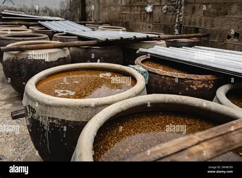 Le Soja Avec De La Saumure Dans Un Bocal Sous La Lumière Du Soleil Fermentent L Un Des Six