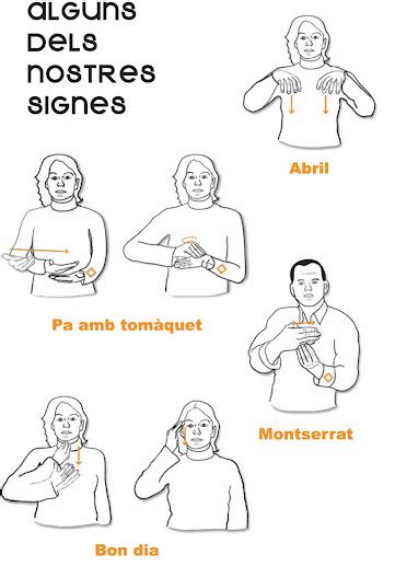 LSC Llengua De Signes Catalana