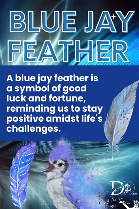 Blue Jay Feather Meaning - Key Takeaways - Daizon