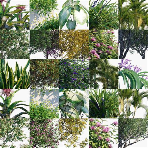 Globe Plants — Bundle 32 — Brazilian Home And Garden Plants 3d Model By Boardinghambrutus