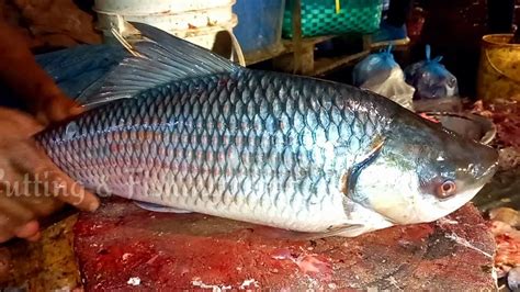 Incredible Cutting Style Big Rohu Live Fish Cutting Skills In