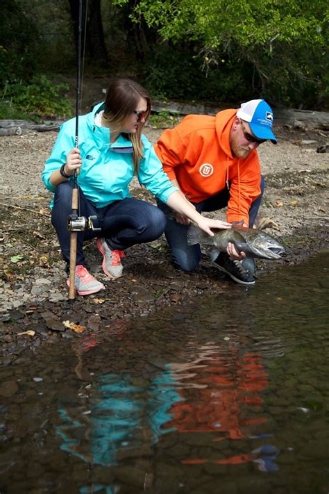 Free Picture Salmon Escapes Traditional Dip Fishing Nets