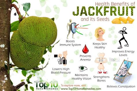 Health Benefits of Jackfruit and Its Seeds | Top 10 Home Remedies