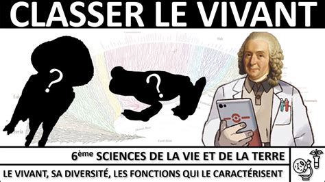 Classer les êtres vivants Capsule 6ème SVT YouTube