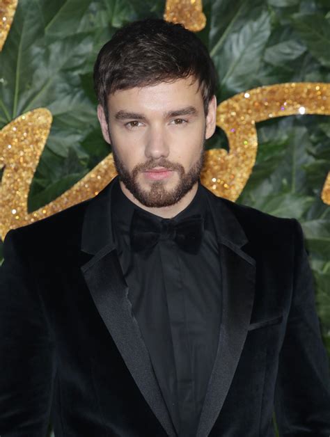 Did Liam Payne Get Plastic Surgery? Jaw, Face Photos | Life & Style