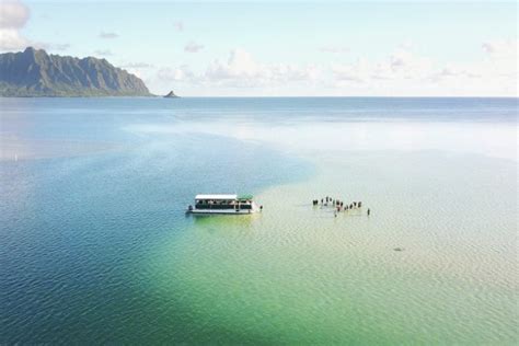 The Kaneohe Sandbar Tours Snorkeling Sup Captain Bruce Hawaii