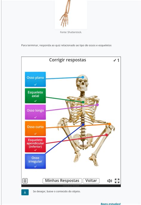 sistema tegumentar Ciências Morfofuncionais dos Sistemas Tegumentar