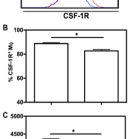 High Dose Of Ne Decreases Csf 1r Expression Unfractionated Bm Cells Download Scientific