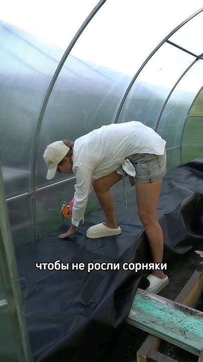 СЕКРЕТЫ ВЫРАЩИВАНИЯ БОЛЬШОГО УРОЖАЯ ПЕРЦЕВ - YouTube