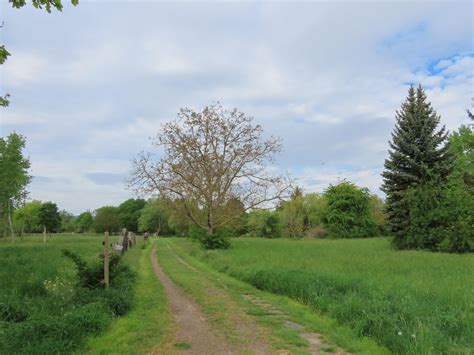 Weinwanderung Freinsheim Weisenheim Am Sand Erpolzheim Wanderung