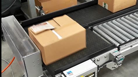 Box Filler Packaging Counting Conveyor By SmartMove