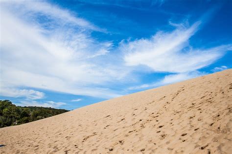 Sand+Dunes,+Rainforests,+&+Beaches:++Exploring+Fraser+Island Pacific Coast, East Coast, Sand ...