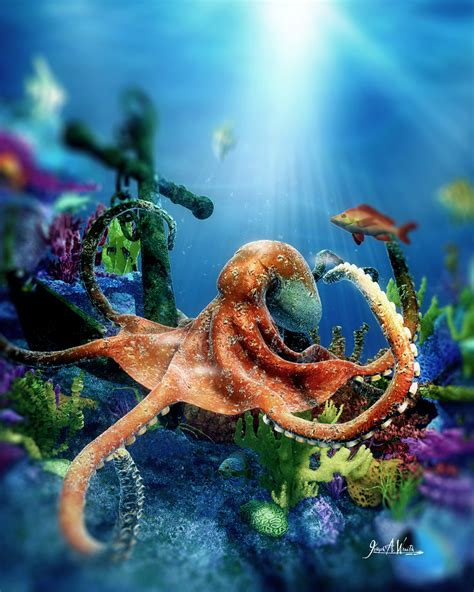 Joseph Alexander Wraith - Octopus's Garden