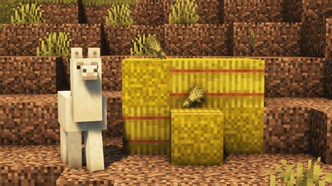 What Do Llamas Eat In Minecraft