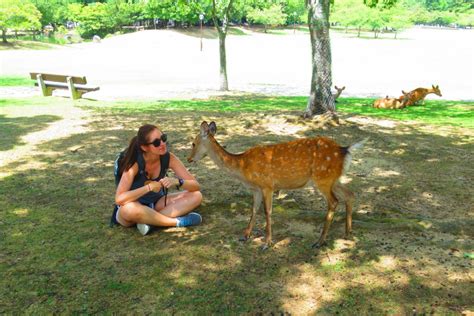 Nara Deer Park - Kevin Kelly