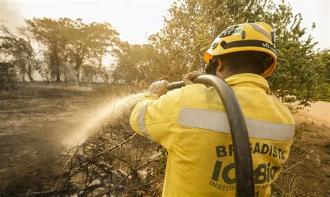 Mais de 17 3 milhões de hectares foram queimados em 2023 no país