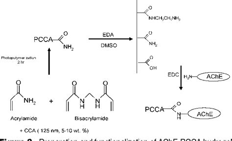 Figure 3 from Acetylcholinesterase-based organophosphate nerve agent sensing photonic crystal ...