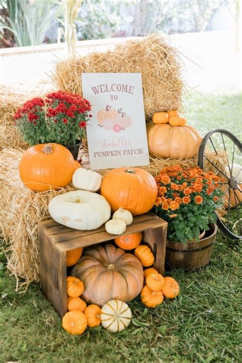 Karas Party Ideas Little Pumpkin Birthday Party Karas Party Ideas