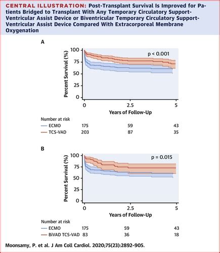 Survival After Heart Transplantation In Patients Bridged With