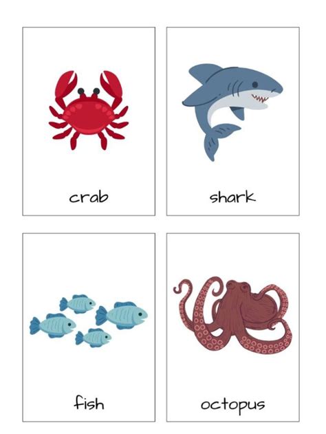 Sea Animals Flashcards For Kids - Womanhood And LifeStuff