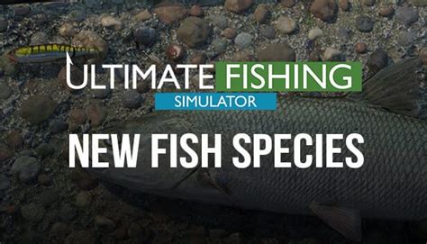 Ultimate Fishing Simulator New Fish Species Steam Cd Key Joybuggy