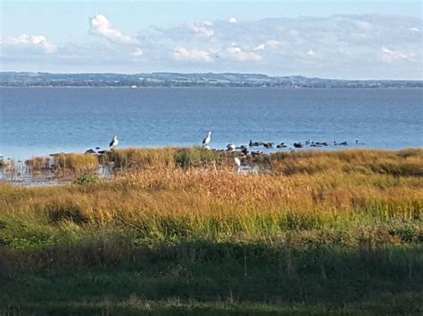 301 Moved Permanently