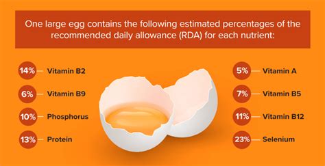 Eating Raw Eggs Sauder S Eggs