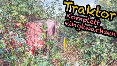 Bergung DDR Traktor Pomßen aus 2 Meter Dornenhecke YouTube