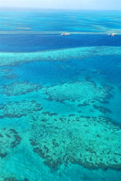 Reef Sleep With Cruise Whitsundays