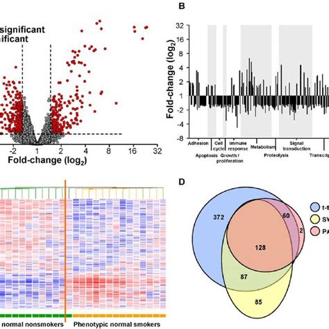 Genome Wide Gene Expression In The Small Airway Epithelium Of High Vs