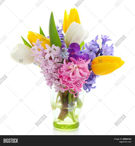 Beautiful Spring Image And Photo Free Trial Bigstock