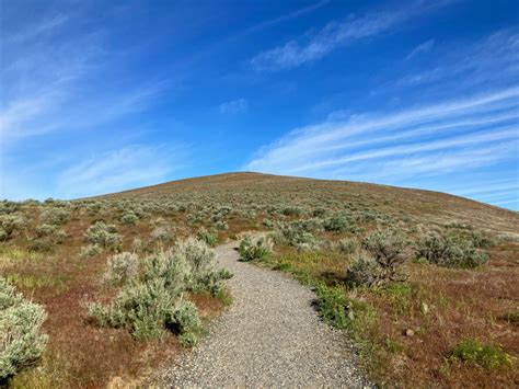 Seatteites Reasons To Visit Tri Cities Washington Top Left Adventures