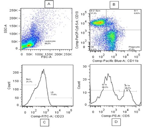 Gate Strategy For Analyzing Spleen B Cells Population By Flow