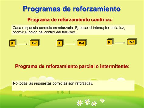 Programas De Reforzamiento Y Conducta De Elecci N Ppt Descargar