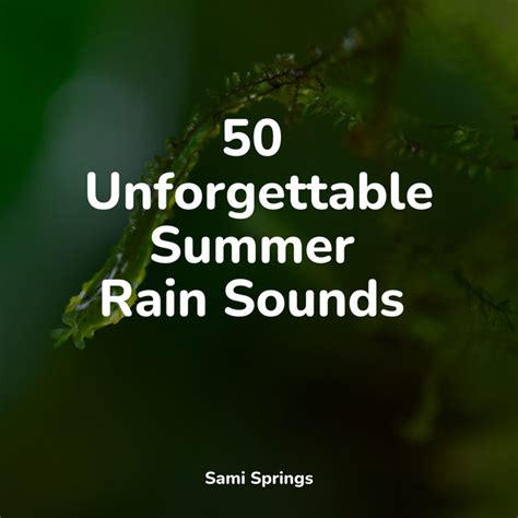 50 Unforgettable Summer Rain Sounds Album By Nature Sounds Radio