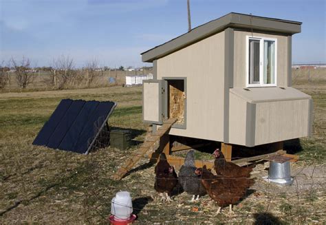 Solar Powered Poultry