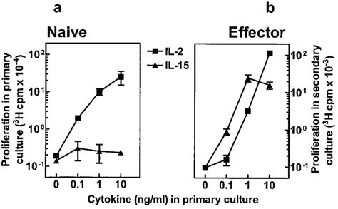 Differential Effects Of Il 2 Vs Il 15 On Naive And Effector Cd8 T