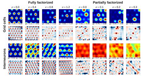 Neurons and the Brain's GPS: Understanding the Role of Place Cells and ...