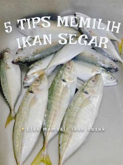 5 Tips Memilih Ikan Segar Galeri Diposting Oleh Wawadels Lemon8