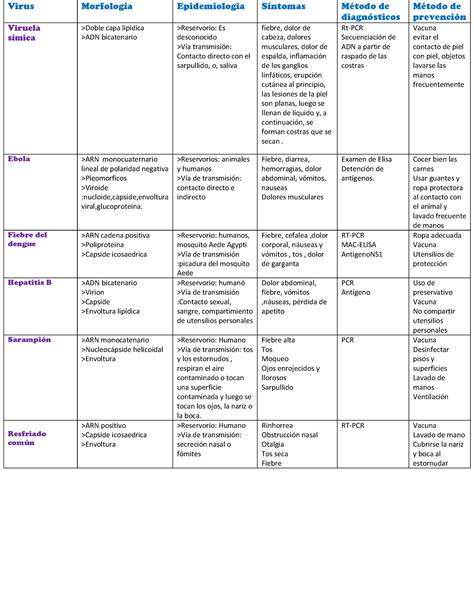 Virus resumen mmmmmmm Virus MorfologÌa Epidemiologia SÌntomas